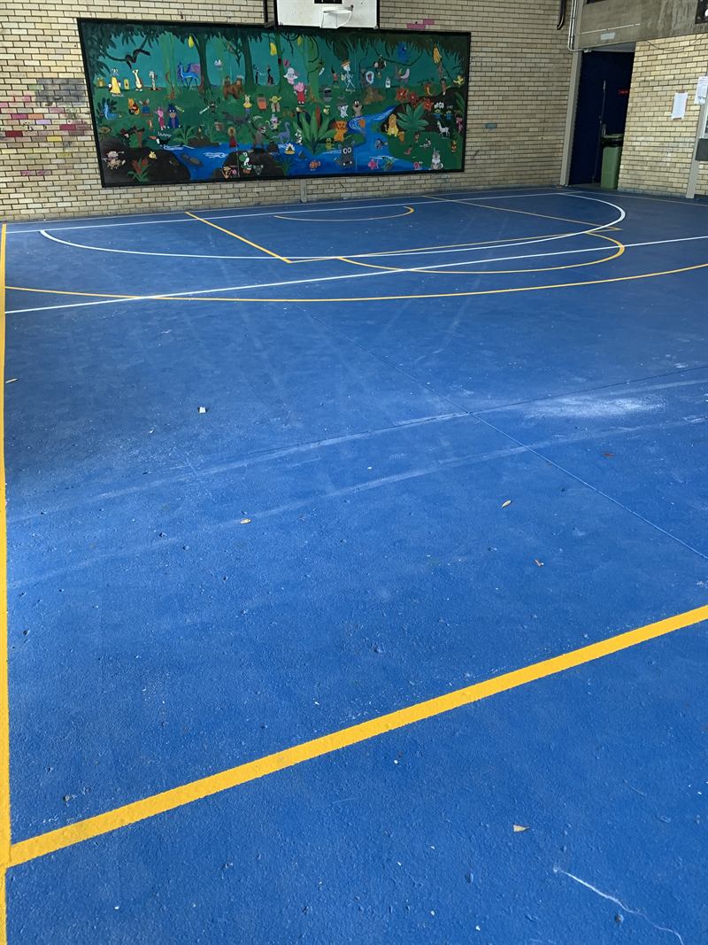 Indoor court markings